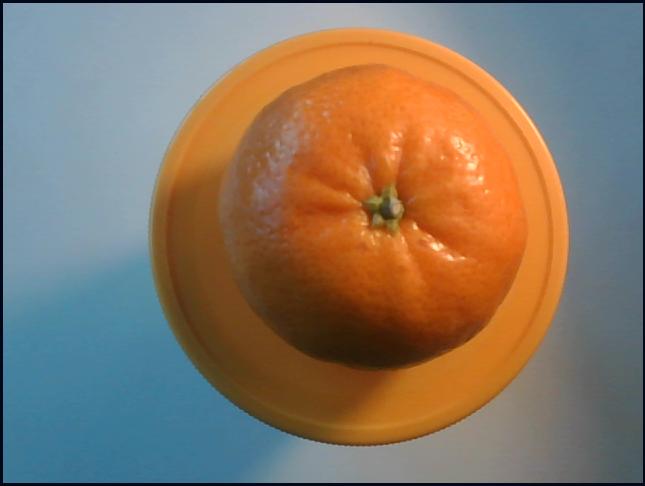 Webcam capture of orange