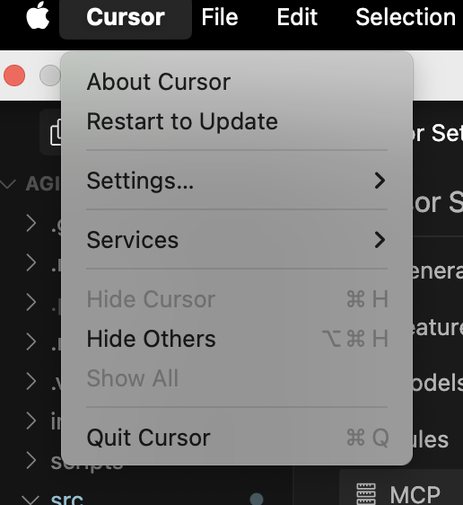 Cursor Settings